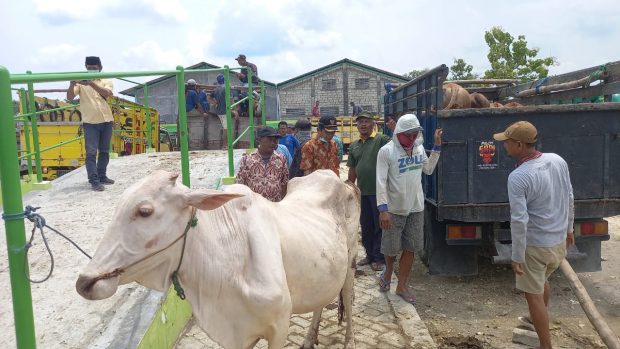 Soal Pembangunan Pasar Hewan, Polda Jatim Panggil Kepala Dinas Perdagangan Bojonegoro