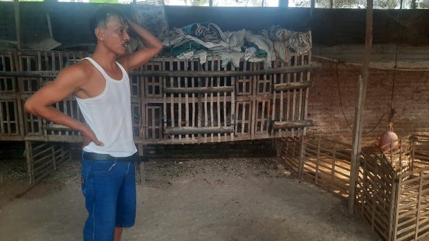Warga Wotangare Keluhkan Bau Tak Sedap Dari Tempat Penampungan Hewan Unggas